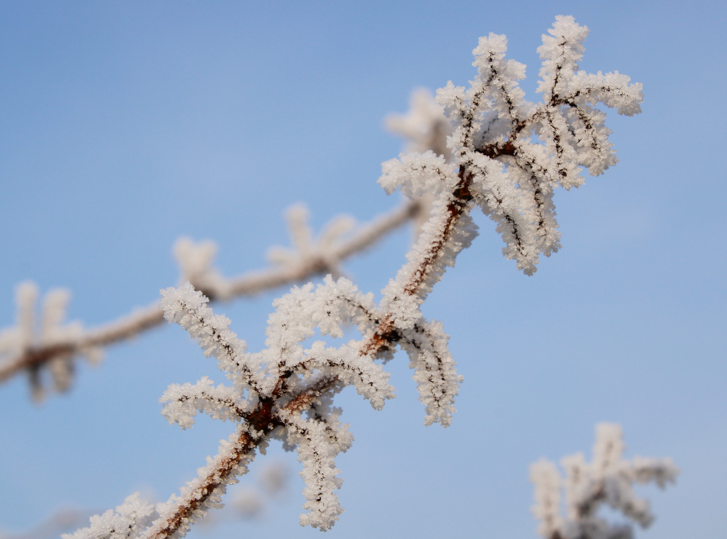 Eiszeit