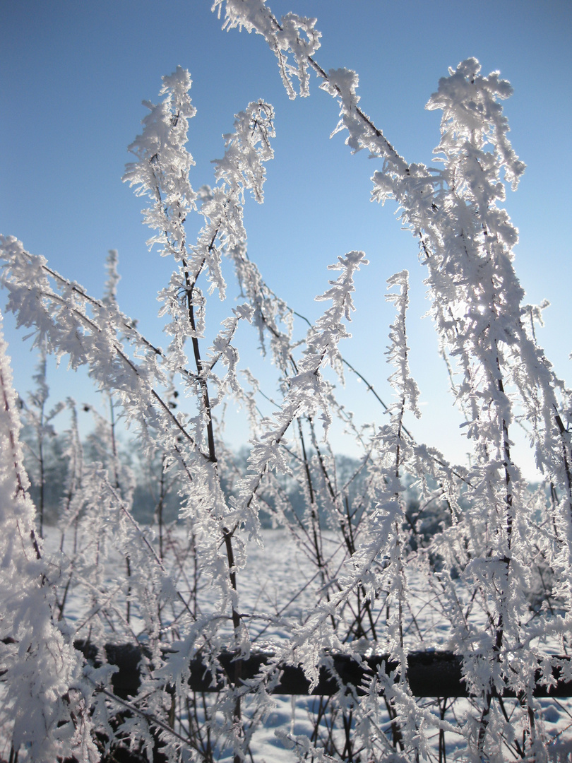 Eiszeit