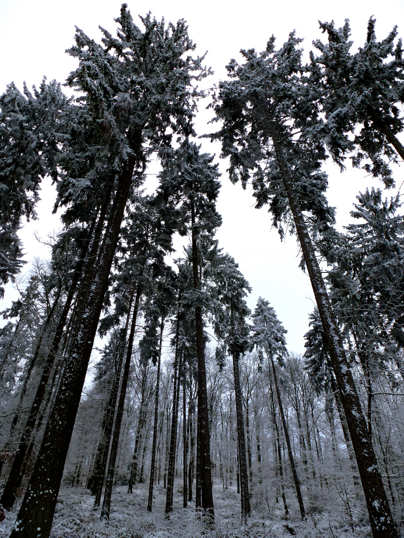 Eiszeit