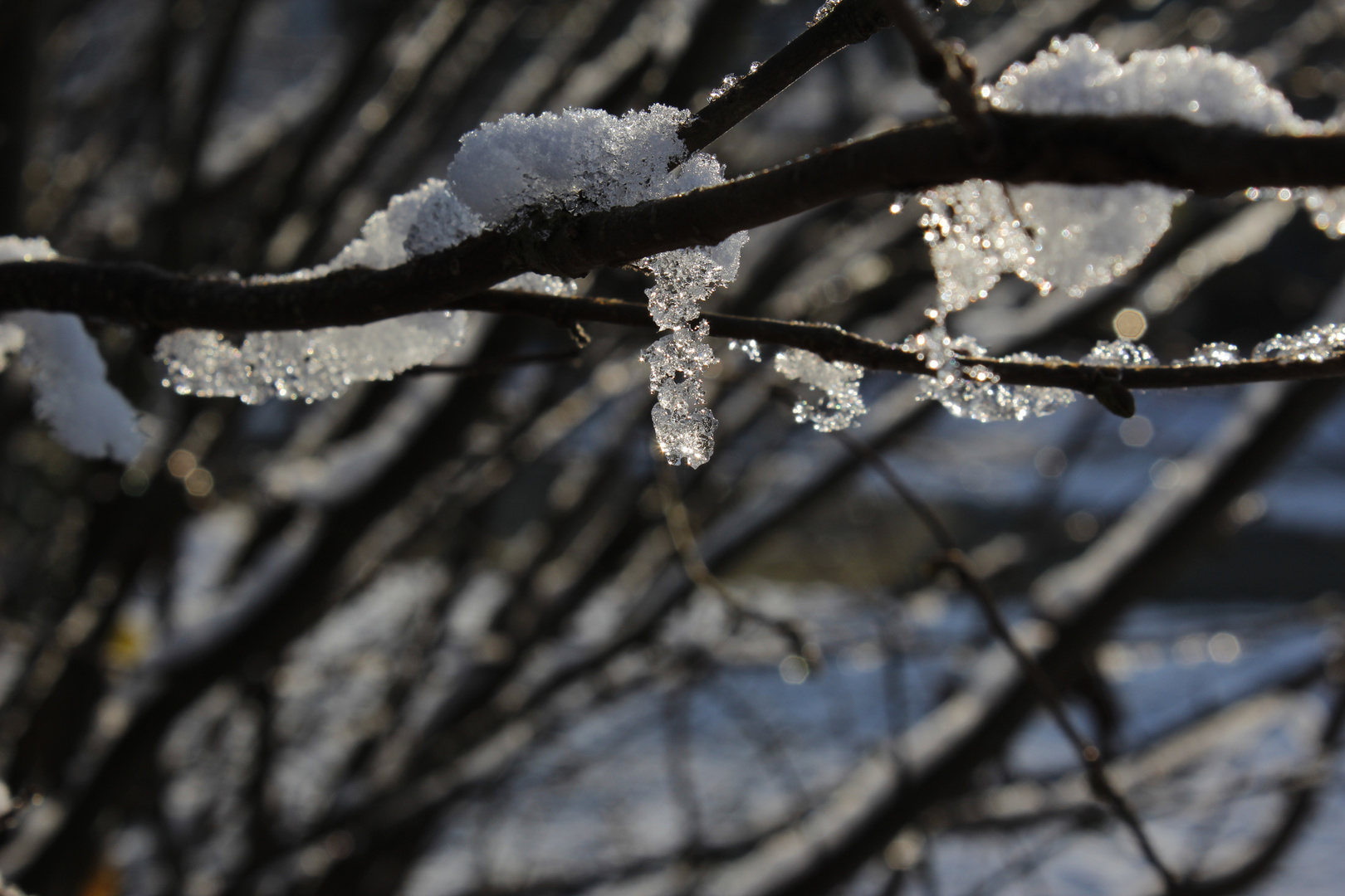 Eiszeit