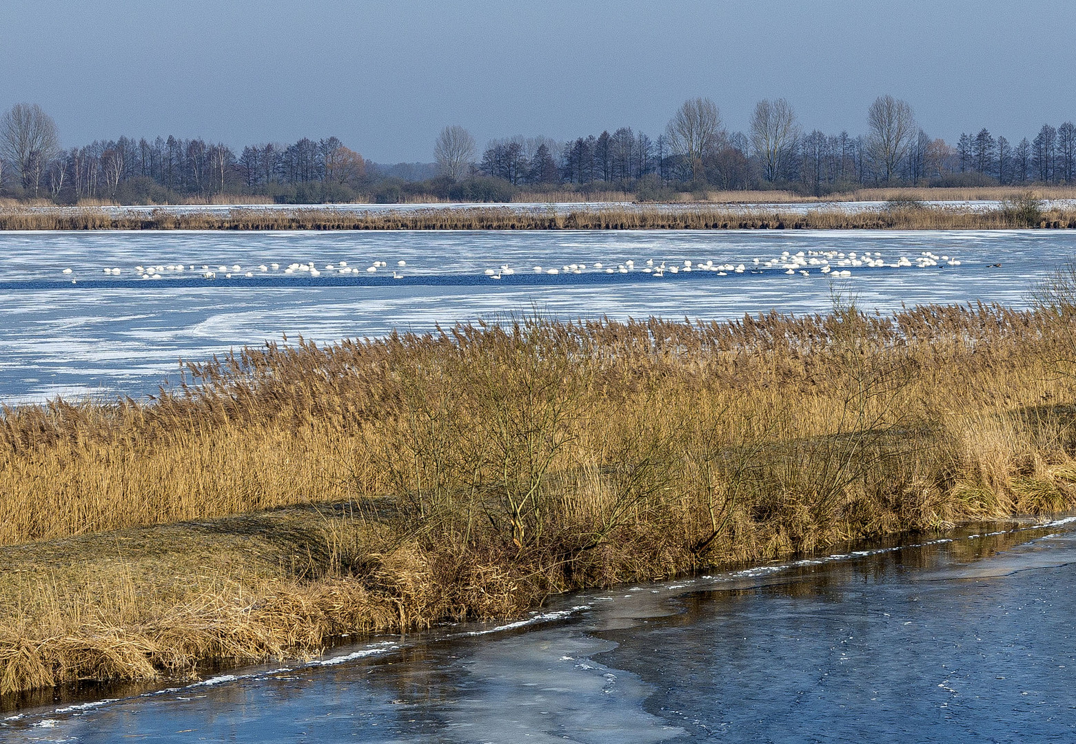 Eiszeit