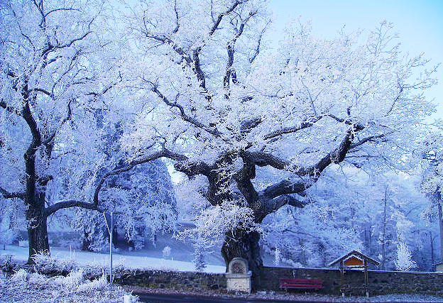 Eiszeit