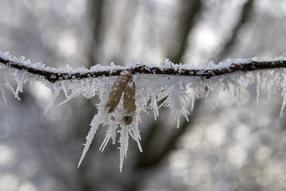 Eiszeit