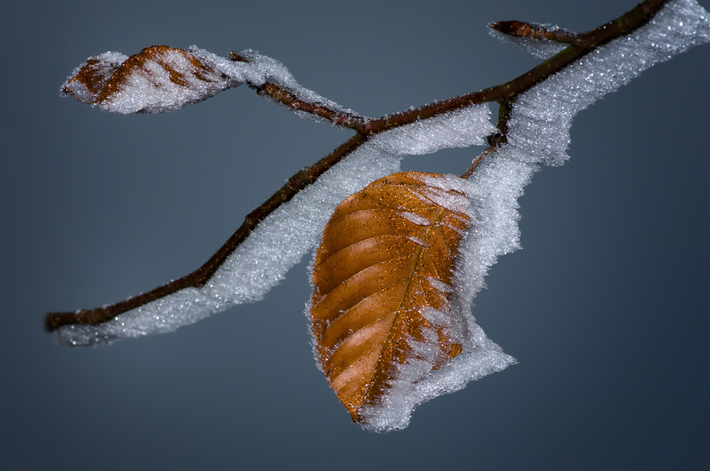 Eiszeit