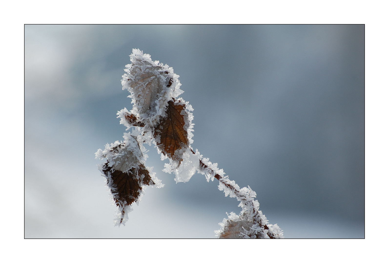 Eiszeit