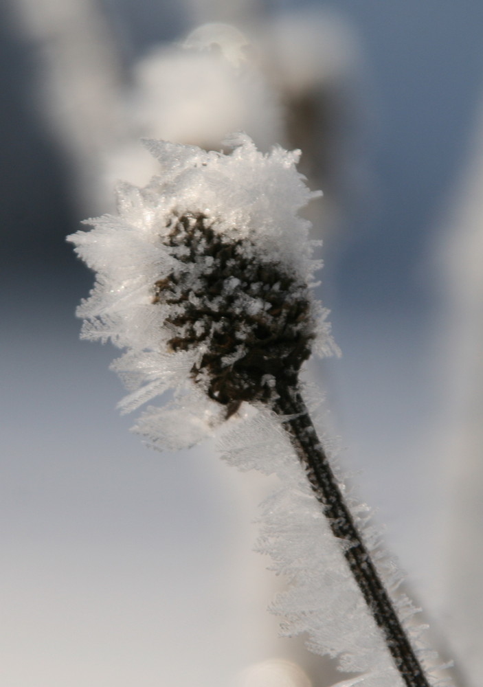 Eiszeit