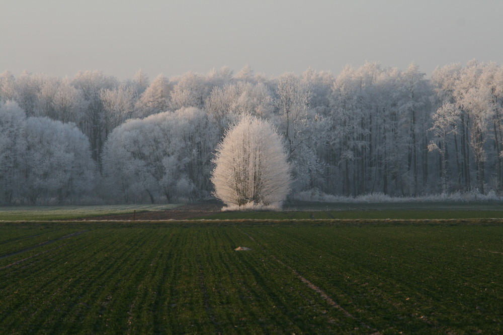 Eiszeit