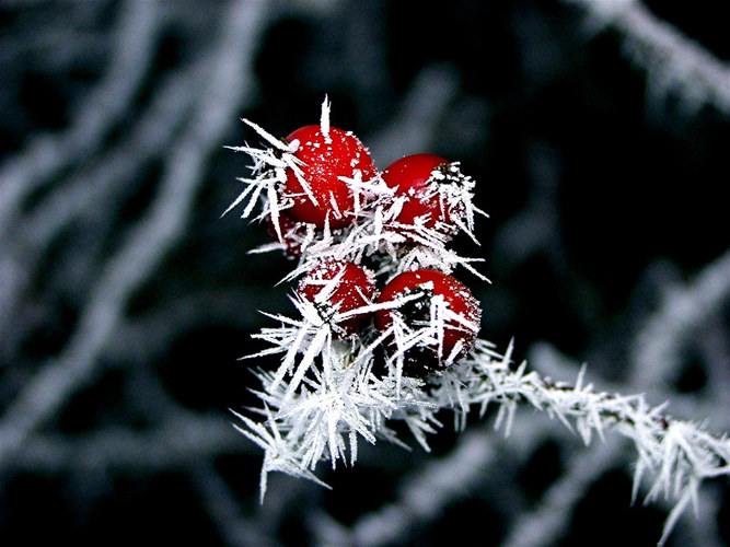 Eiszeit