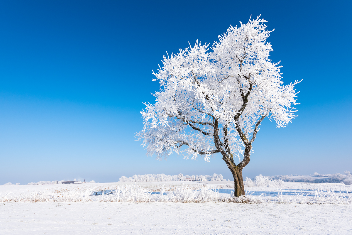 Eiszeit