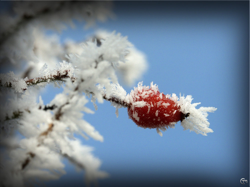 Eiszeit