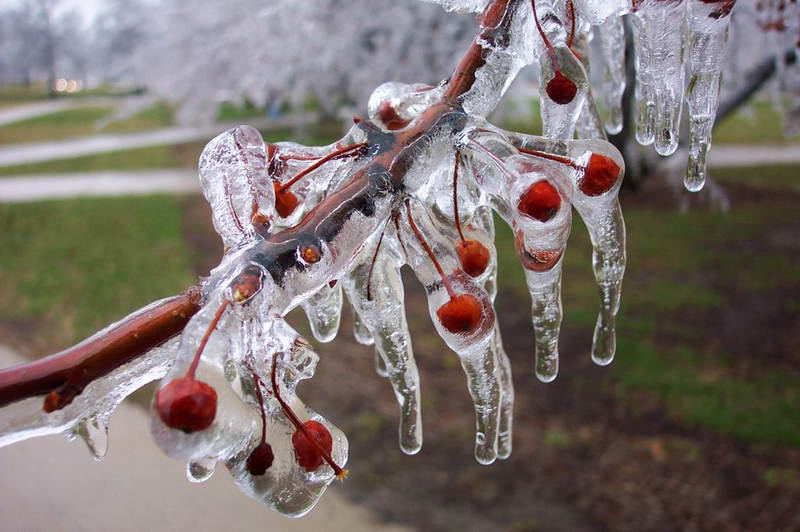 Eiszeit......