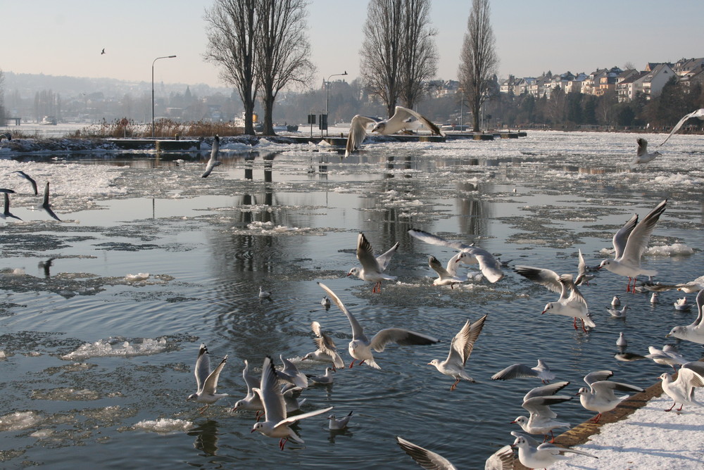 Eiszeit endet