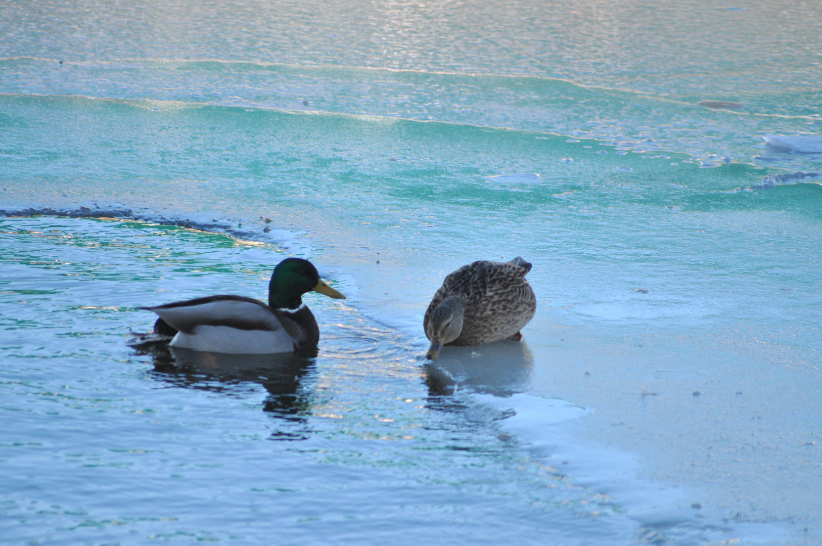 Eiszeit