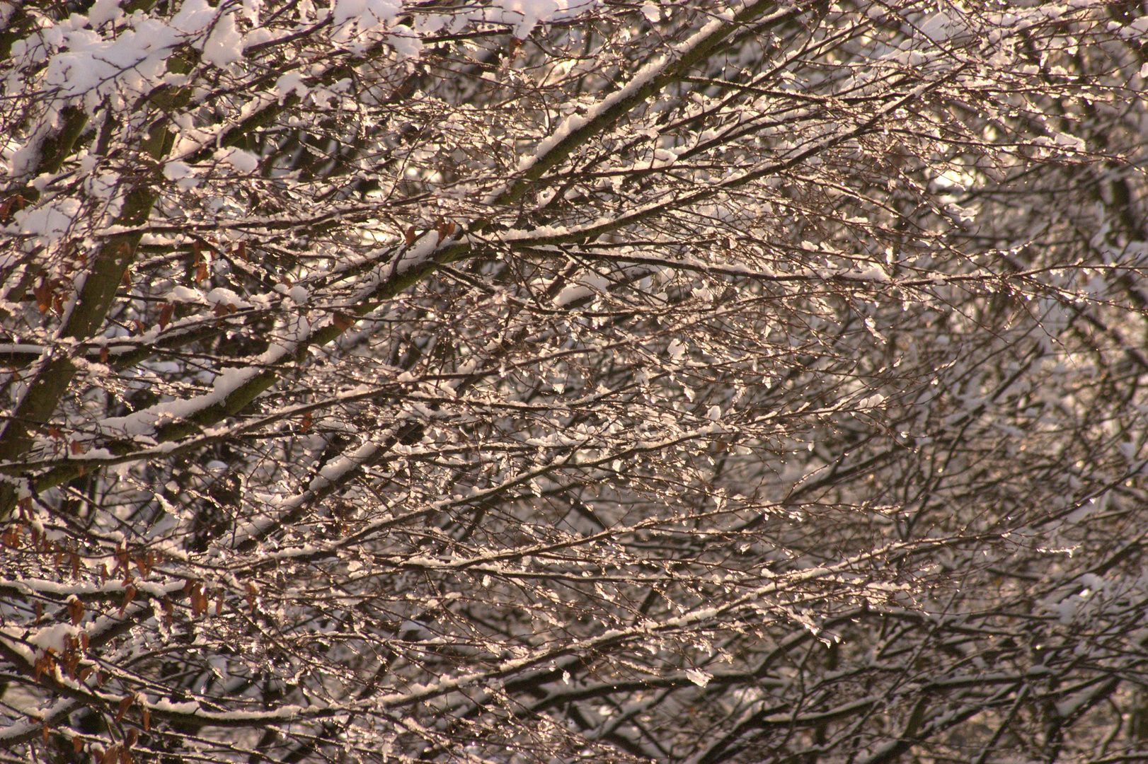 Eiszeit