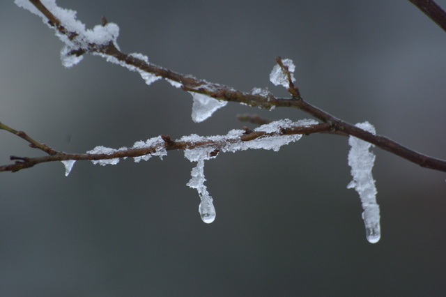 Eiszeit I