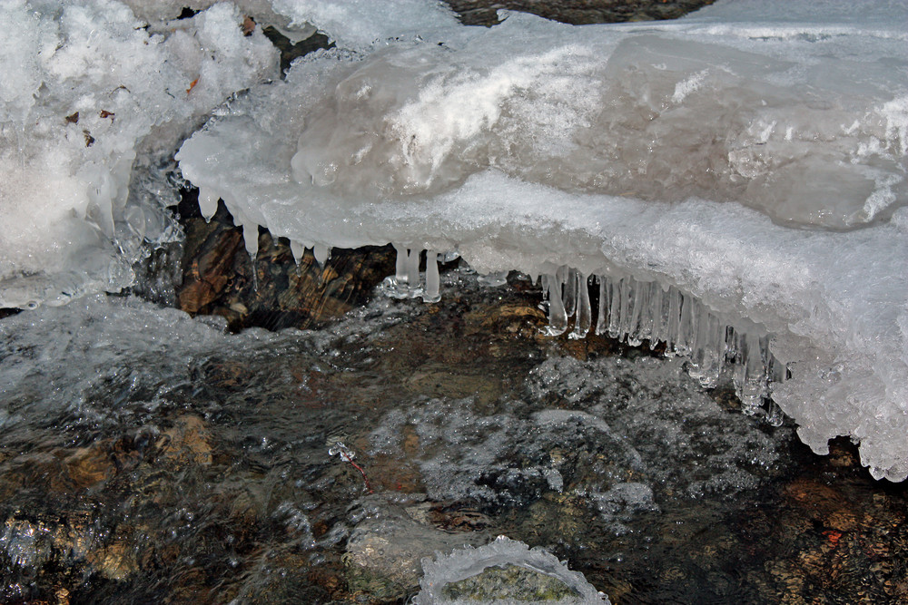 Eiszeit - I.