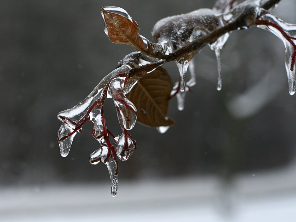 Eiszeit II