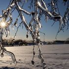 ...Eiszeit II ...