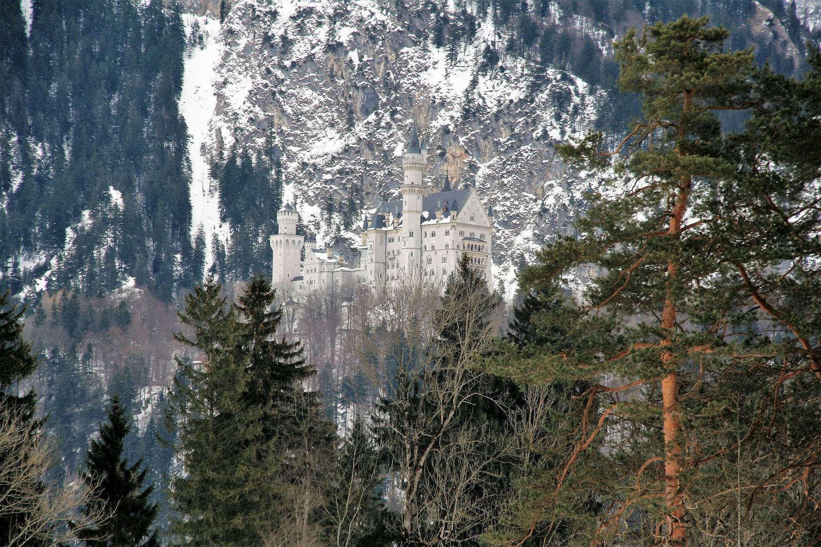 Eiszeit im Allgäu