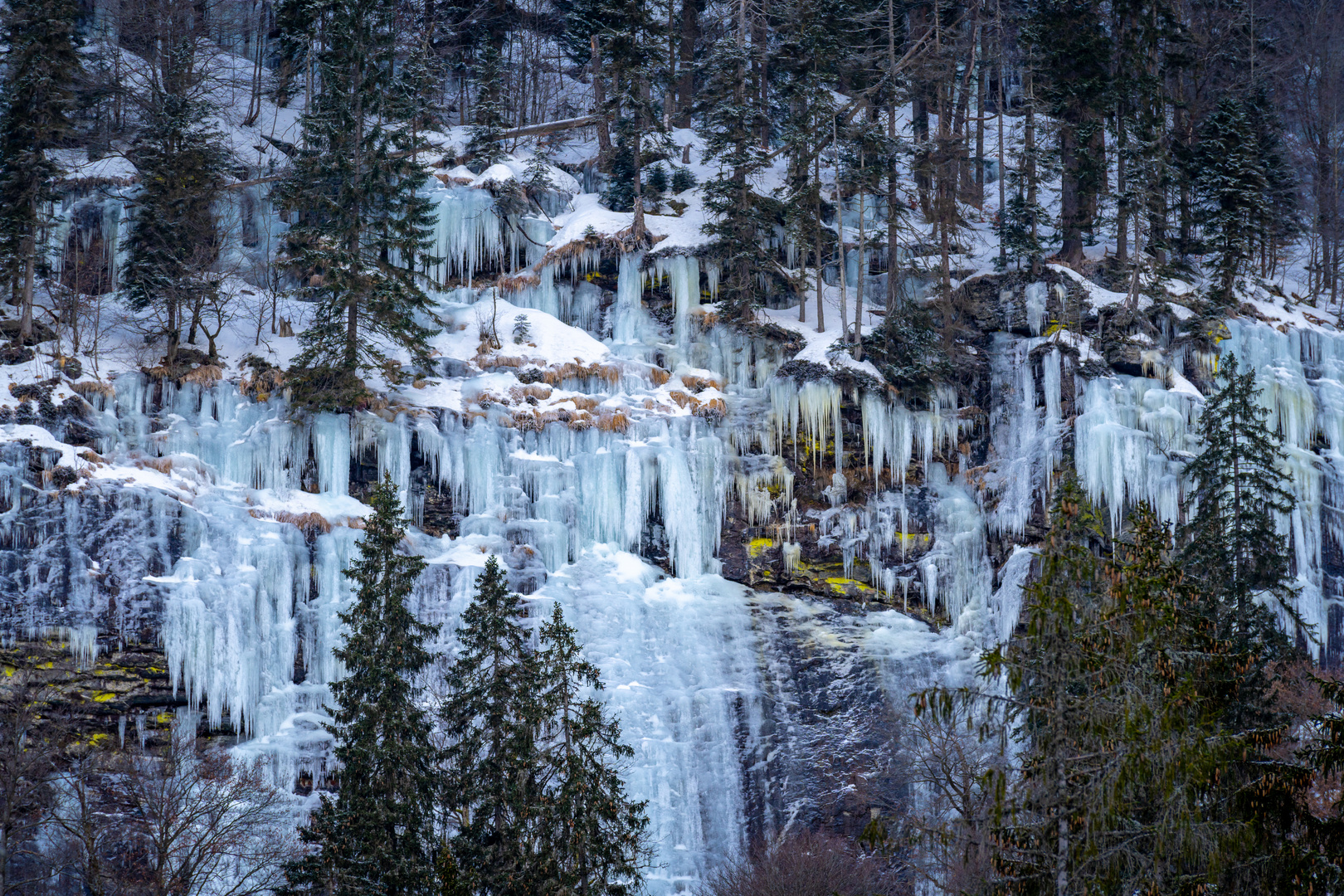 Eiszeit im Bayerischen Wald