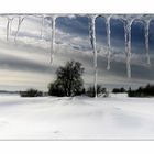 ~ Eiszeit im Hohen Venn ~