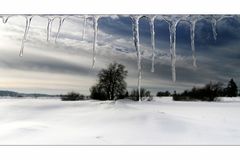 ~ Eiszeit im Hohen Venn ~