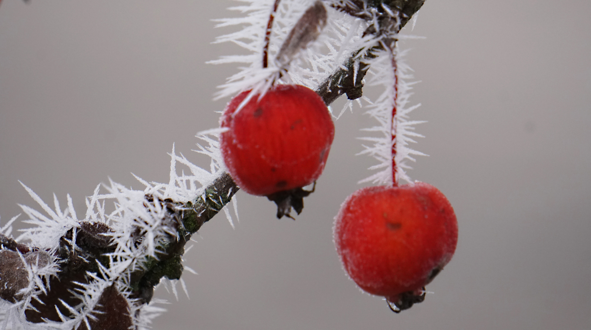 Eiszeit im Januar