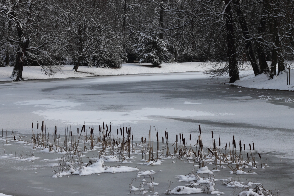 Eiszeit im Luisium I