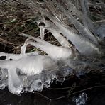 Eiszeit im Rheinland #2