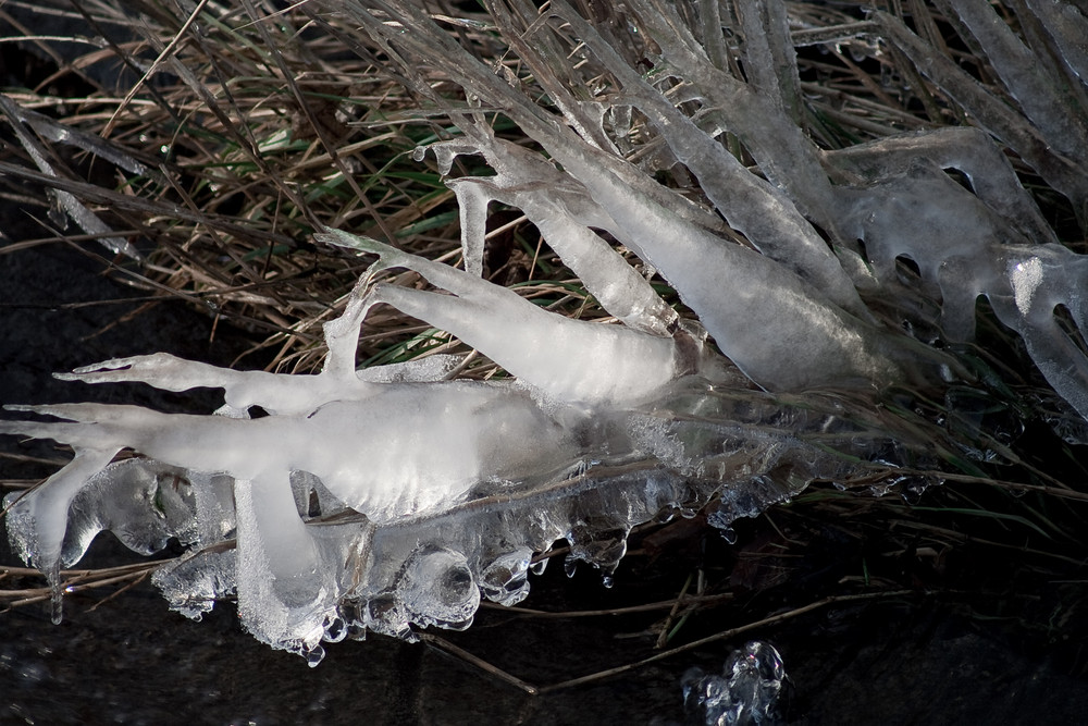 Eiszeit im Rheinland #2