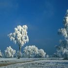 Eiszeit im Ried