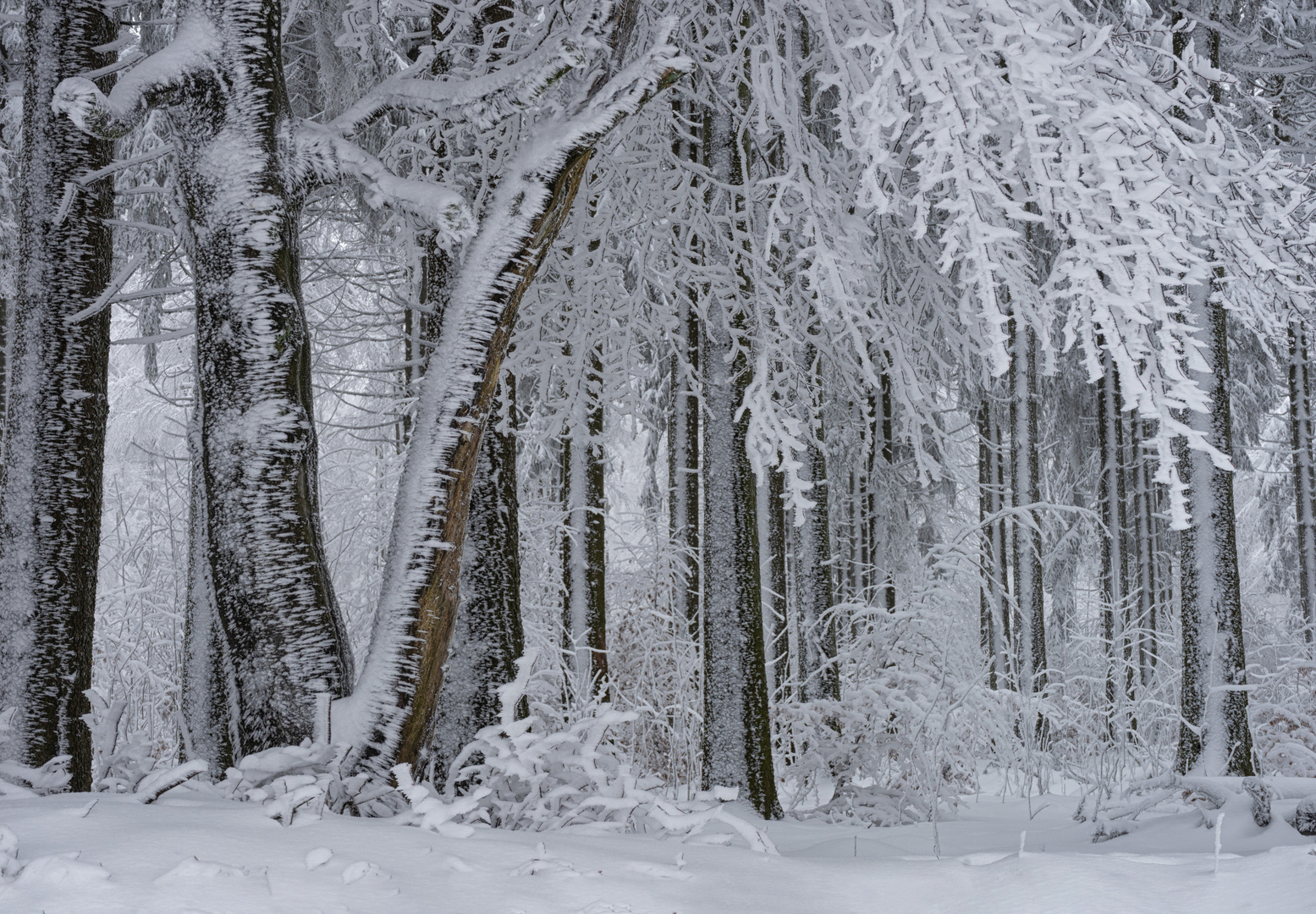 Eiszeit im Vogelsberg