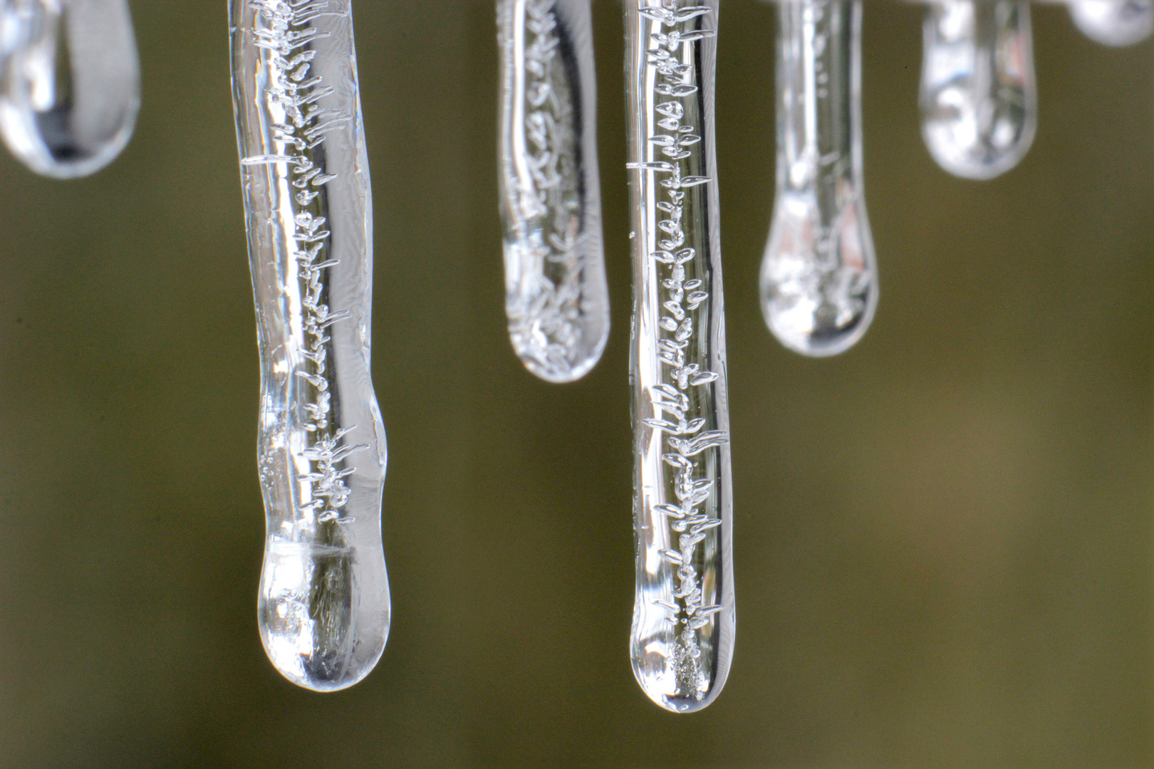 Eiszeit in Bad Säckingen