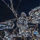 EISZEIT in Biebesheim am Rhein