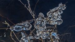 EISZEIT in Biebesheim am Rhein