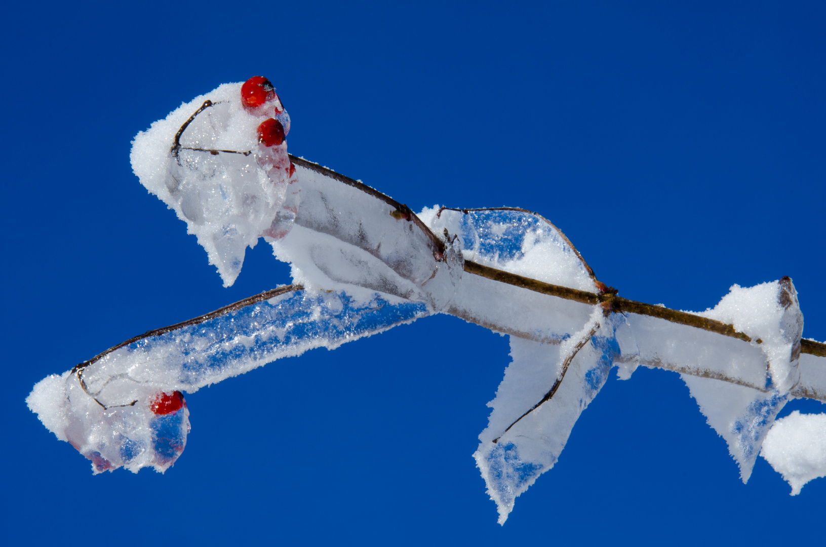 Eiszeit in blau-rot-weiß