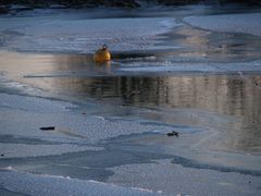 Eiszeit in Eltville