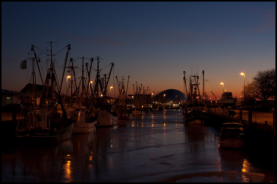 Eiszeit in Friedrichskoog II