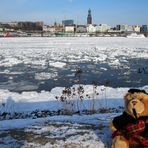 Eiszeit in Hamburg