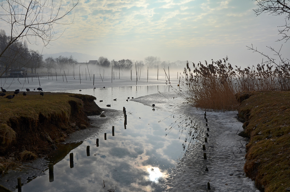 Eiszeit in Pfäffikon ZH