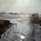 Eiszeit in Pfäffikon ZH