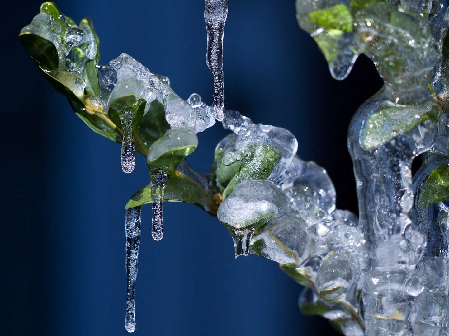 Eiszeit in Vorsfelde