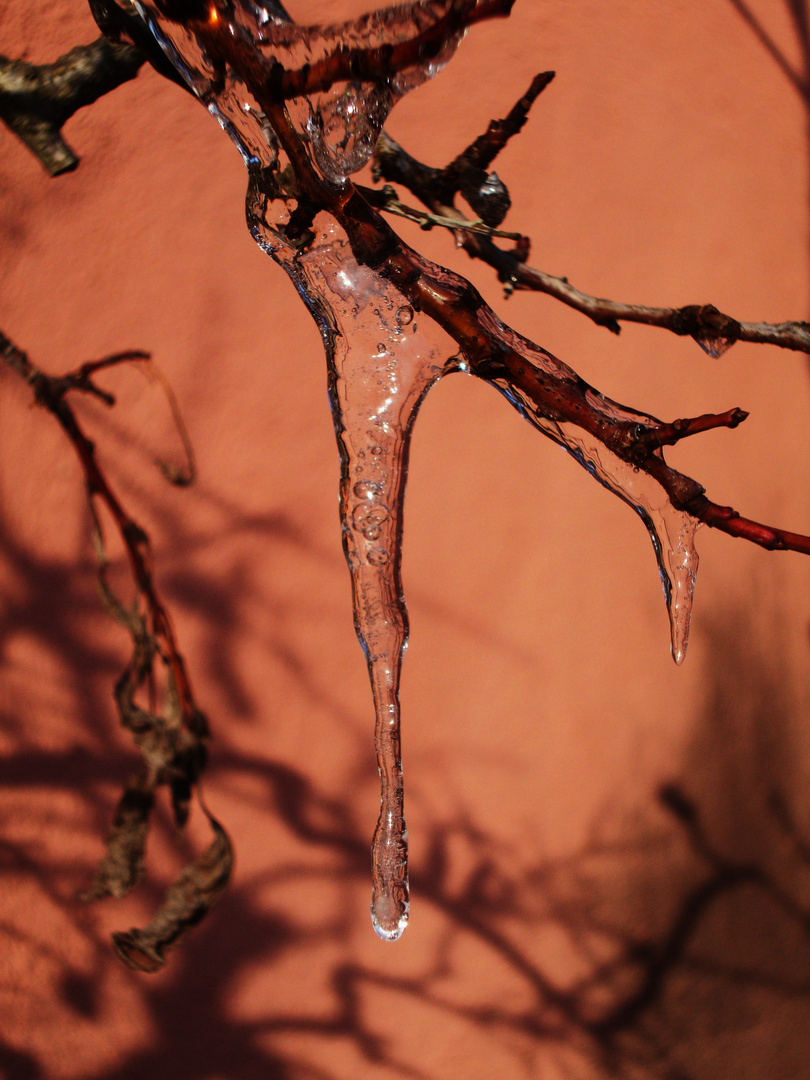 Eiszeit oder Frühling?