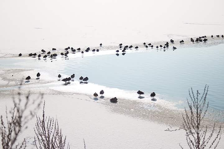 Eiszeit Rothsee