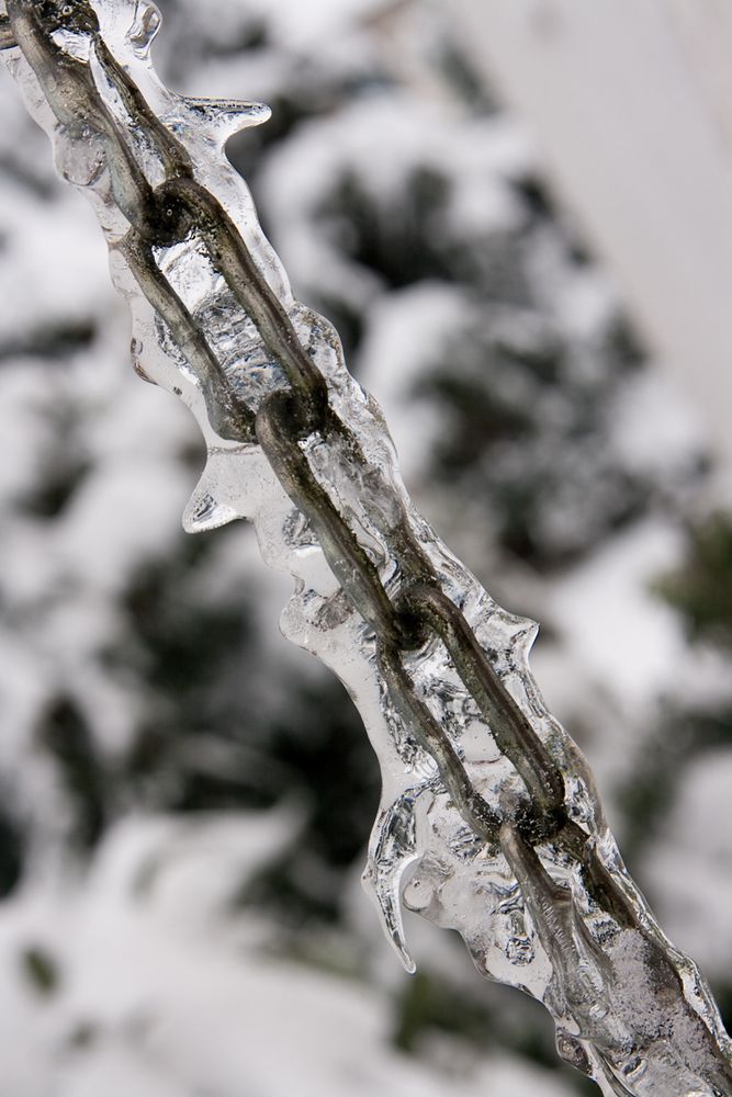 Eiszeit Schneekette?