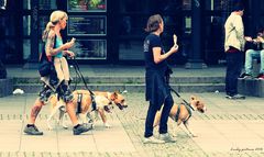 Eiszeit und Hundewetter