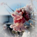 Eiszeit zum Wochenende