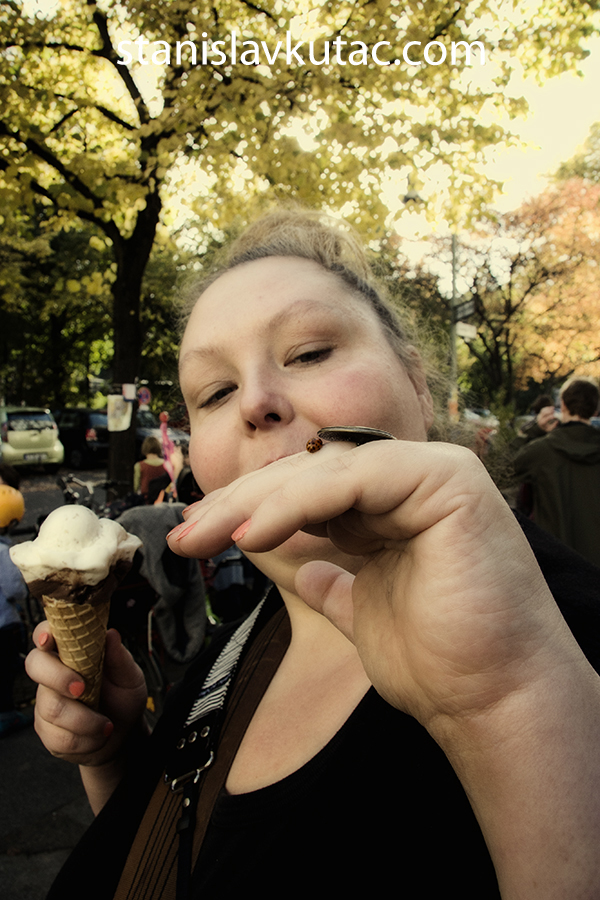 eiszeit_2_und_der_marienkäfer