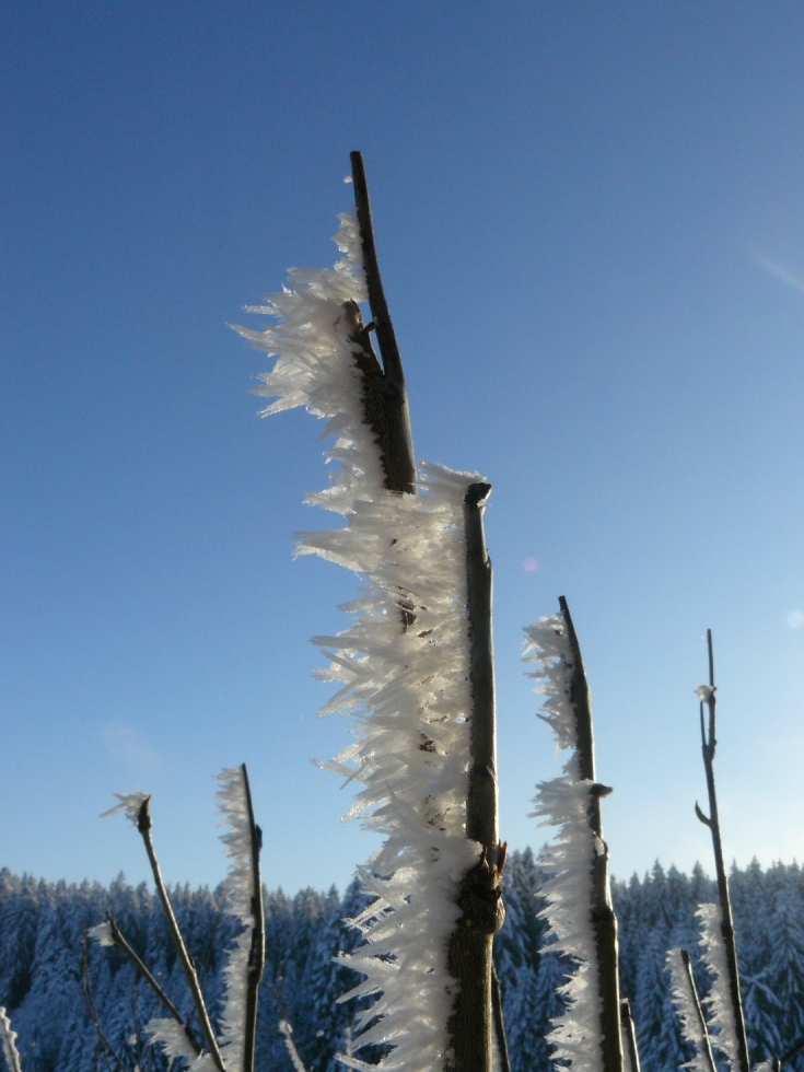 Eiszeiten