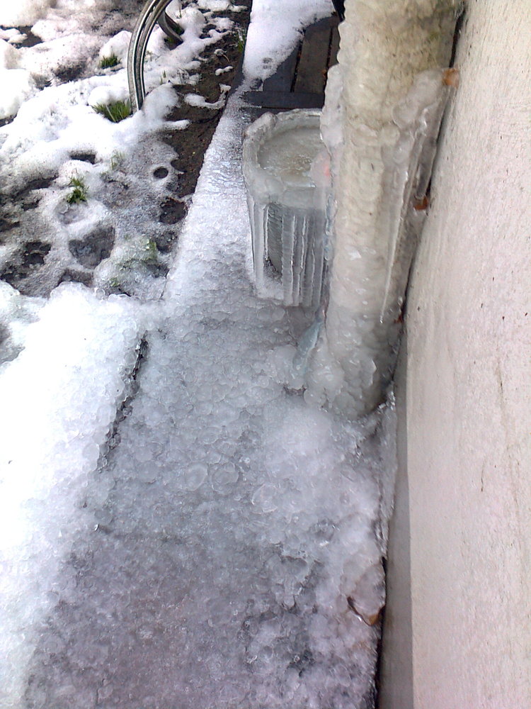 Eiszeit...ig in meinem Stadtgarten....